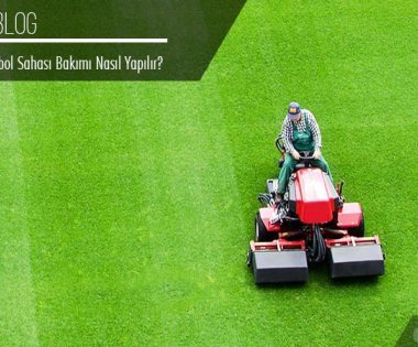 Как ухаживать за полем с натуральным газоном