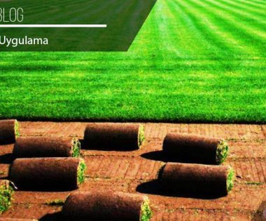 Советы по укладке рулонного газона